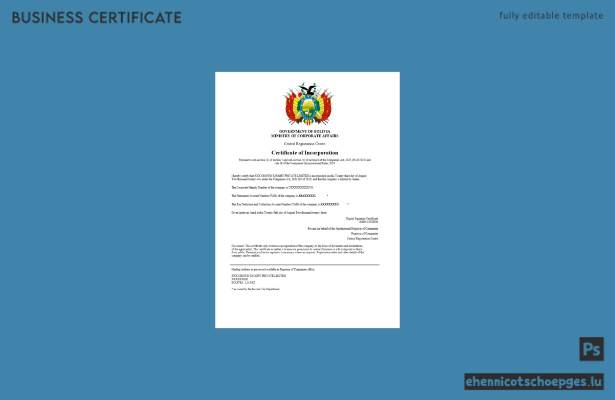 Bolivianische Registrierungsurkunde – Beispielansicht in Word und PDF